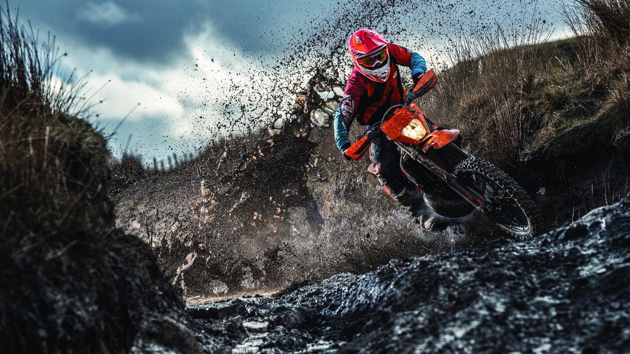 纳达尔法网惊天逆转夺冠,第15座大满贯书写传奇